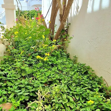 Apartment 203 Castell Sol Cb